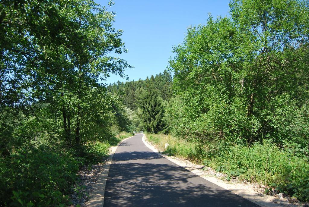 Appartamento Dvur U Kaplicky Žďár nad Sázavou Esterno foto